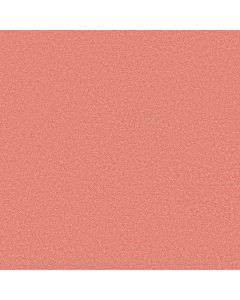 Shaw THE BRIGHT SIDE Peachy Keen Carpet - SH-5E894-00605