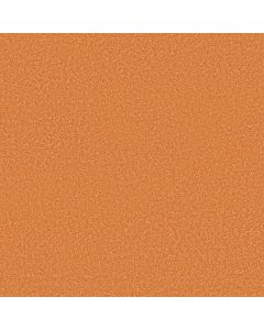 Shaw THE BRIGHT SIDE Orange You Glad Carpet - SH-5E894-00655