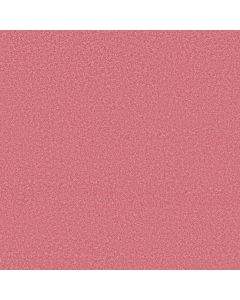 Shaw THE BRIGHT SIDE Piece Of Cake Carpet - SH-5E894-00835
