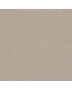 Shaw WONDERLAND I Outer Banks Carpet - SH-5E895-00230