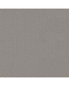 Shaw WONDERLAND I Greige Carpet - SH-5E895-00730