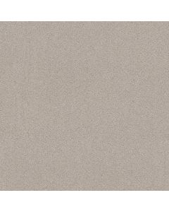 Shaw SECRET ADVENTURE Beige Mist Carpet - SH-5E901-00121