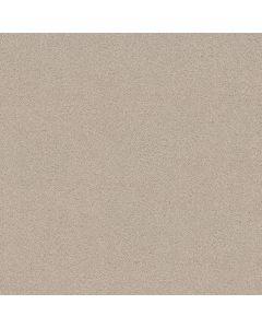 Shaw SECRET ADVENTURE Cafe Latte Carpet - SH-5E901-00122