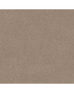 Shaw SECRET ADVENTURE Stonecrest Carpet - SH-5E901-00123