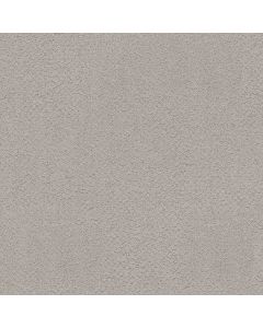 Shaw SECRET ADVENTURE Four Winds Carpet - SH-5E901-00520