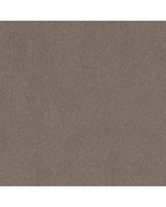 Shaw SECRET ADVENTURE Hideaway Carpet - SH-5E901-00722