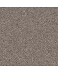 Shaw GRAND INFLUENCE I Mushroom Carpet - SH-5E902-00118