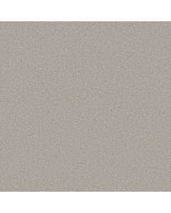 Shaw GRAND INFLUENCE I Gentle Wind Carpet - SH-5E902-00121