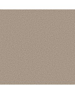 Shaw GRAND INFLUENCE I Sand Hill Carpet - SH-5E902-00710