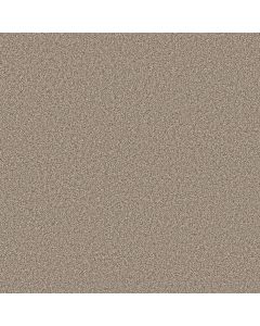 Shaw GRAND INFLUENCE II Stucco Carpet - SH-5E903-00120