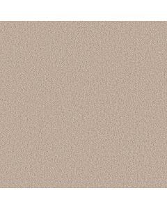 Shaw GRAND INFLUENCE II Satin Shimmer Carpet - SH-5E903-00122
