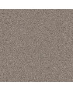 Shaw GRAND INFLUENCE II Stepping Stone Carpet - SH-5E903-00126