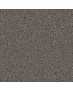 Shaw GRAND INFLUENCE II Knighthood Carpet - SH-5E903-00521