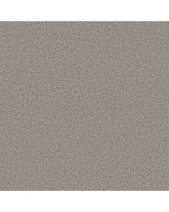 Shaw GRAND INFLUENCE II Platinum Carpet - SH-5E903-00533