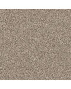 Shaw GRAND INFLUENCE III Stucco Carpet - SH-5E904-00120
