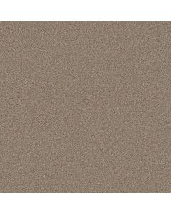 Shaw GRAND INFLUENCE III Summer Straw Carpet - SH-5E904-00210