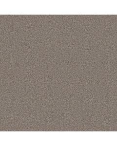 Shaw GRAND INFLUENCE III Castle Rock Carpet - SH-5E904-00523