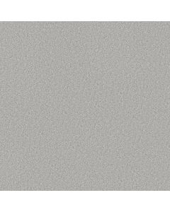 Shaw GOOD MOVE I Soft Fleece Carpet - SH-5E906-00120