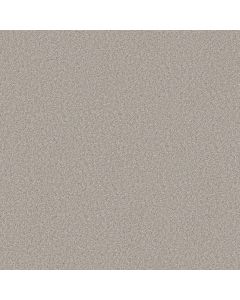 Shaw GOOD MOVE I Desert Light Carpet - SH-5E906-00121