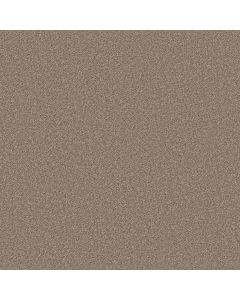 Shaw GOOD MOVE I Grecian Tan Carpet - SH-5E906-00123