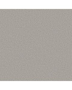 Shaw GOOD MOVE I Ecru Carpet - SH-5E906-00130