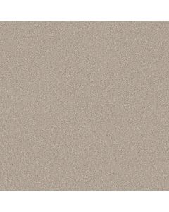 Shaw GOOD MOVE I Sandy Shore Carpet - SH-5E906-00131