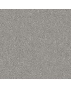 Shaw GOOD MOVE I Fog Carpet - SH-5E906-00520