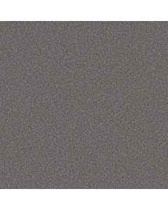 Shaw GOOD MOVE I Sterling Carpet - SH-5E906-00522