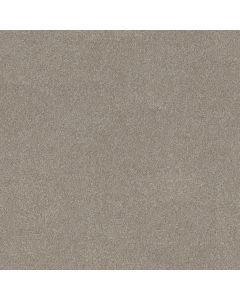 Shaw GOOD MOVE I Winter Dunes Carpet - SH-5E906-00720