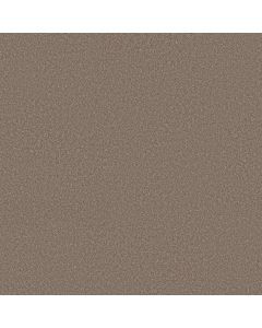 Shaw IMAGINABLE II Weathered Carpet - SH-5E912-00121