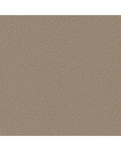Shaw IMAGINABLE II Raw Wood Carpet - SH-5E912-00220