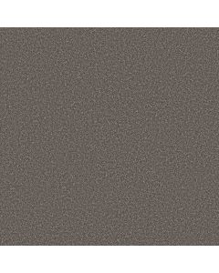 Shaw IMAGINABLE II Sparrow Carpet - SH-5E912-00501