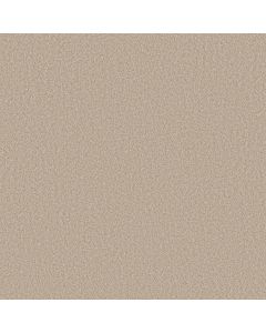 Shaw IMAGINABLE III Dunes Carpet - SH-5E913-00100
