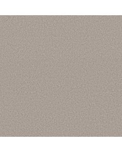 Shaw IMAGINABLE III Great Greige Carpet - SH-5E913-00120