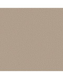 Shaw IMAGINABLE III Latte Carpet - SH-5E913-00125