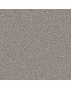 Shaw IMAGINABLE III Stone Path Carpet - SH-5E913-00500