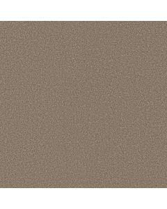 Shaw IMAGINABLE III Clay Carpet - SH-5E913-00700