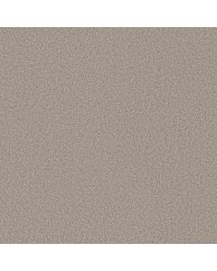 Shaw IMAGINABLE III Granite Dust Carpet - SH-5E913-00720