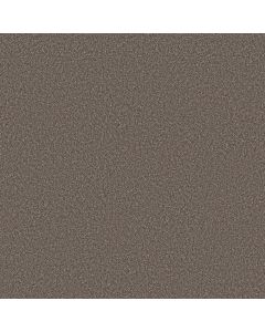 Shaw IMAGINABLE III French Roast Carpet - SH-5E913-00721