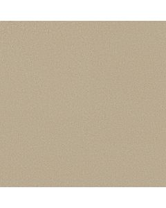 Shaw SMOOTH TONE Summertime Carpet - SH-5E914-00102