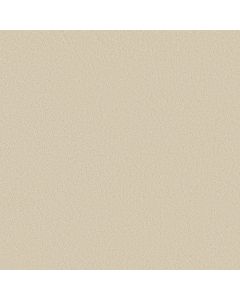 Shaw SMOOTH TONE Soft Sand Carpet - SH-5E914-00105