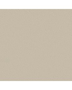 Shaw SMOOTH TONE Baja Carpet - SH-5E914-00106