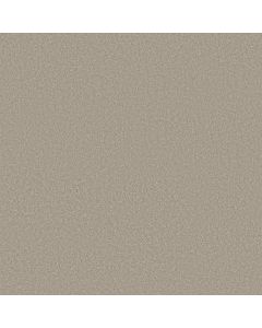 Shaw SMOOTH TONE Twilight Taupe Carpet - SH-5E914-00109