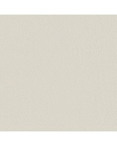 Shaw SMOOTH TONE Alpine Snow Carpet - SH-5E914-00150