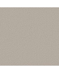 Shaw CLASSIC TONE Pebble Path Carpet - SH-5E915-00104