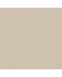 Shaw CLASSIC TONE Baja Carpet - SH-5E915-00106