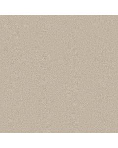 Shaw CLASSIC TONE Chateau Carpet - SH-5E915-00108