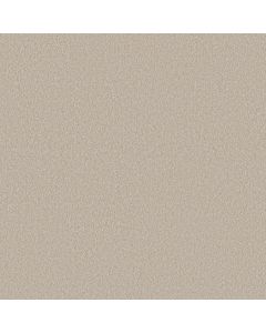 Shaw CLASSIC TONE Twilight Taupe Carpet - SH-5E915-00109