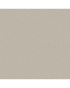 Shaw TIMELESS TONE Sweet Cream Carpet - SH-5E916-00100