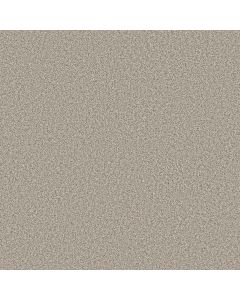 Shaw TIMELESS TONE Summertime Carpet - SH-5E916-00102